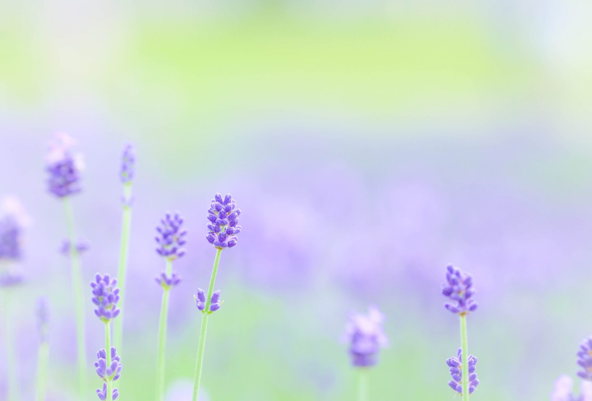 カウンセリングのイメージ