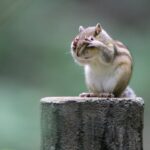 大阪市住吉区にある心理カウンセリング　くれたけ心理相談室のブログです。ご予約はHPカレンダー、またはお電話 0120035905から。携帯電話からも繋がります。土日は朝の８時からの枠もございます。 Offering English counseling services in Osaka as part of Kuretake Mental Health Office. Whether you are a student, an international worker, or in an intercultural marriage, I provide a space to talk and seek support in English. Appointments can be made via the online calendar or by calling the main office (Japanese only) at 0120-035-905. If calling, simply say you would like to book with Murakami at the Osaka office.